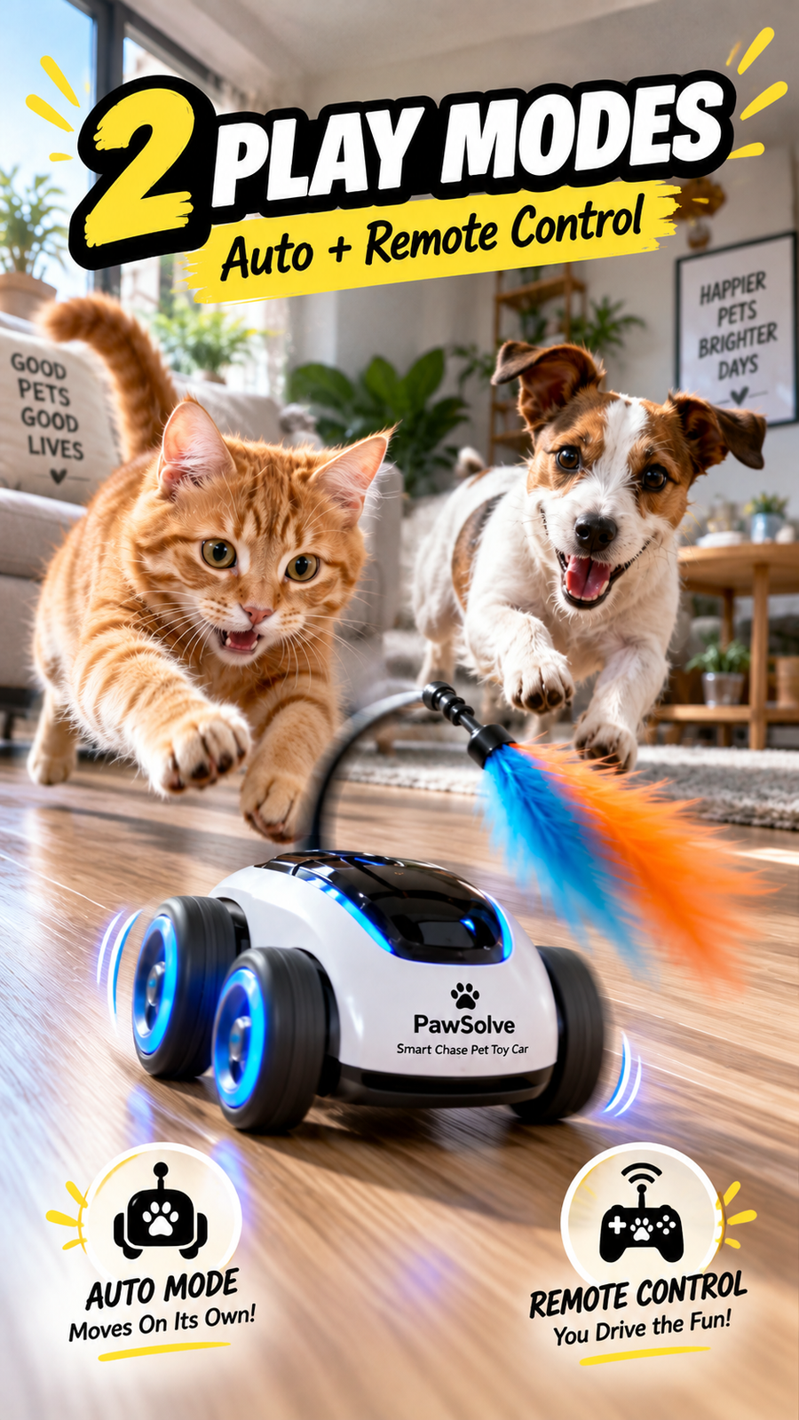 Play & Enrichment