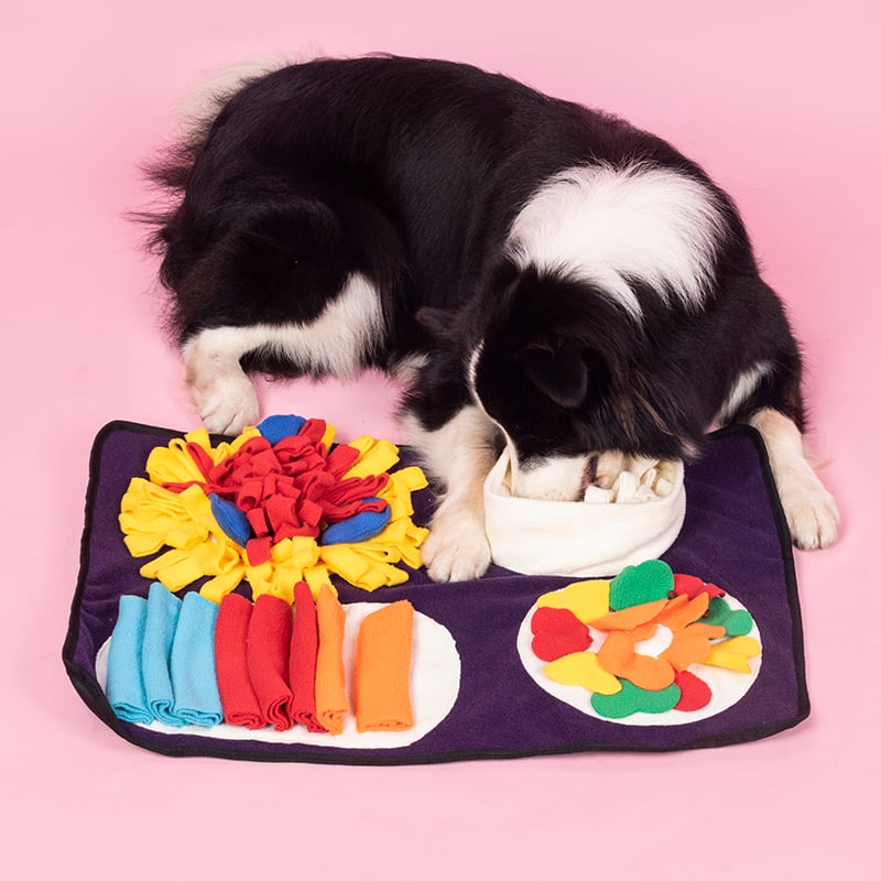 PawSolve Italian Feast Dog Snuffle Mat