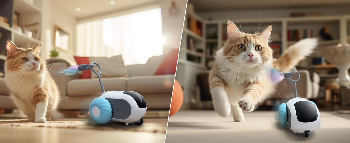 PawSolve Smart Chase™ Interactive Cat Toy Car